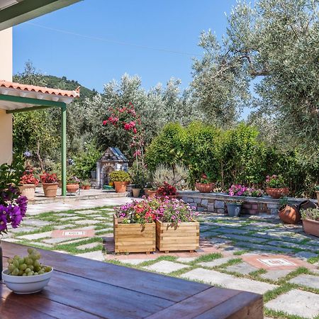 סקופלוס טאון Aretousa Studios & Apartments מראה חיצוני תמונה