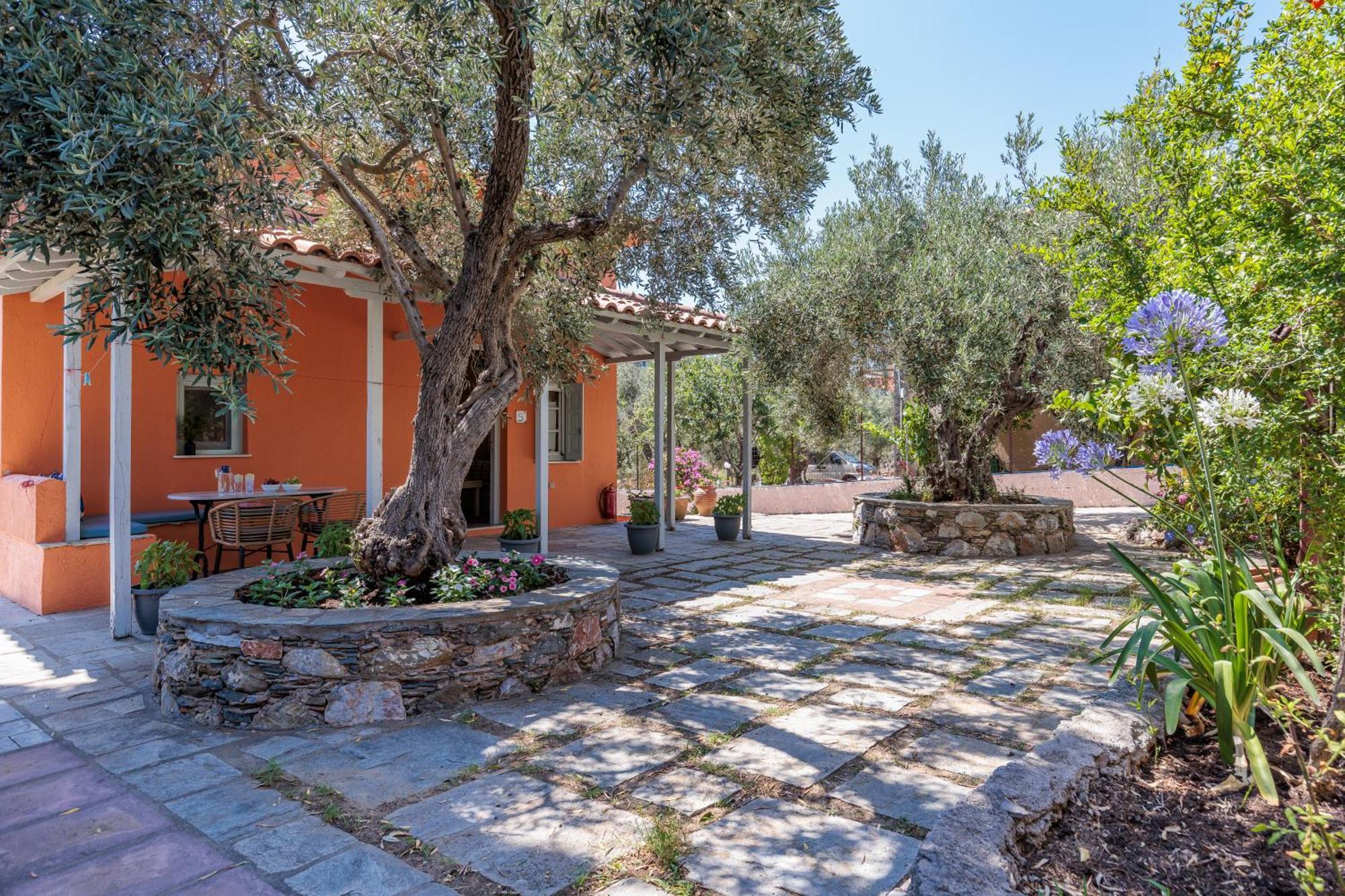 סקופלוס טאון Aretousa Studios & Apartments מראה חיצוני תמונה