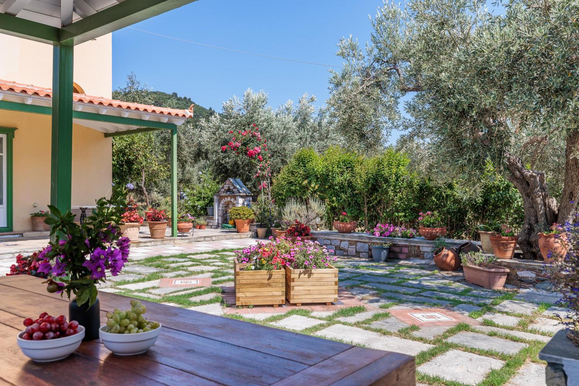סקופלוס טאון Aretousa Studios & Apartments מראה חיצוני תמונה