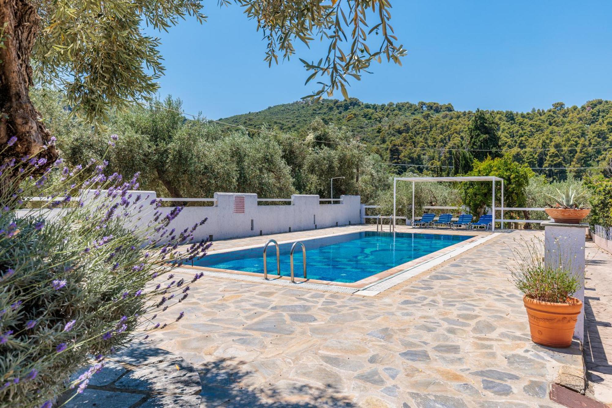 סקופלוס טאון Aretousa Studios & Apartments מראה חיצוני תמונה