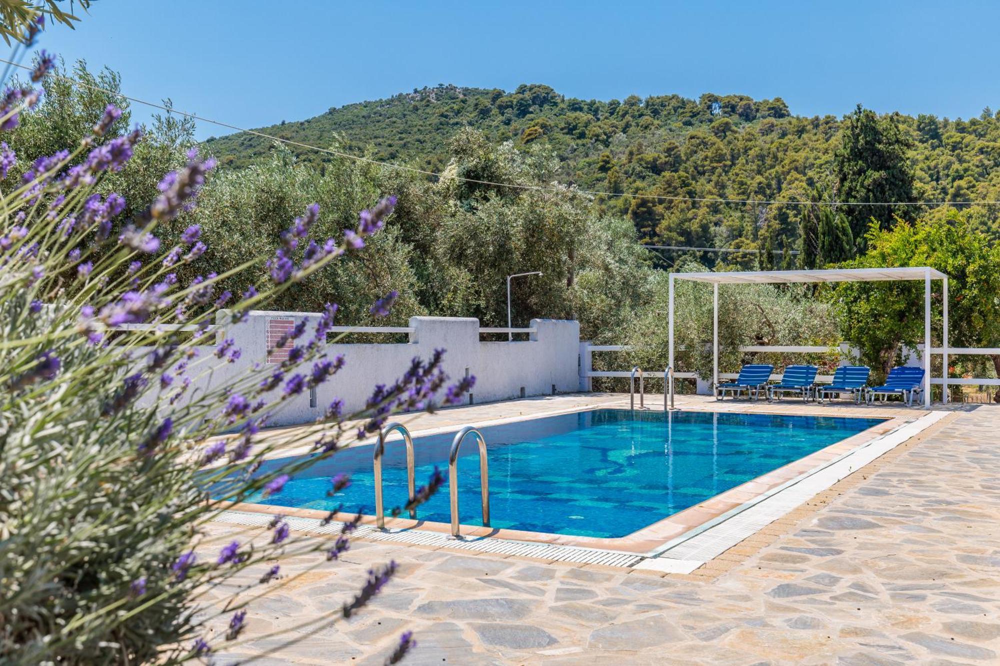 סקופלוס טאון Aretousa Studios & Apartments מראה חיצוני תמונה
